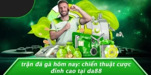 TRẬN ĐÁ GÀ HÔM NAY