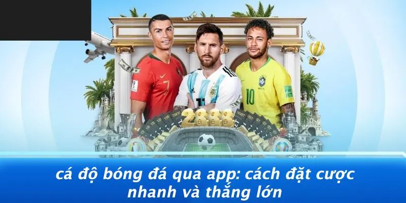 CÁ ĐỘ BÓNG ĐÁ QUA APP: CÁCH ĐẶT CƯỢC NHANH VÀ THẮNG LỚN
