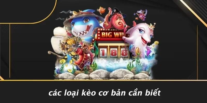 Các Loại Kèo Cơ Bản Cần Biết