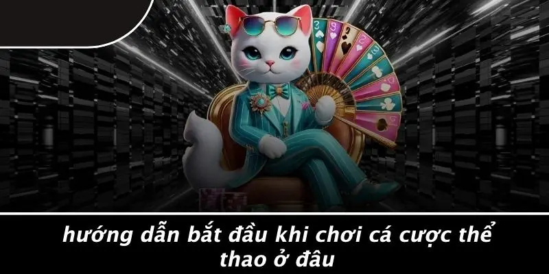 Hướng Dẫn Bắt Đầu Khi Chơi Cá Cược Thể Thao Ở Đâu