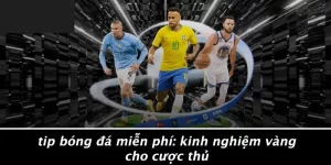 TIP BÓNG ĐÁ MIỄN PHÍ: KINH NGHIỆM VÀNG CHO CƯỢC THỦ