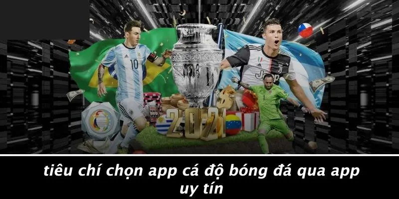 Tiêu Chí Chọn App Cá Độ Bóng Đá Qua App Uy Tín